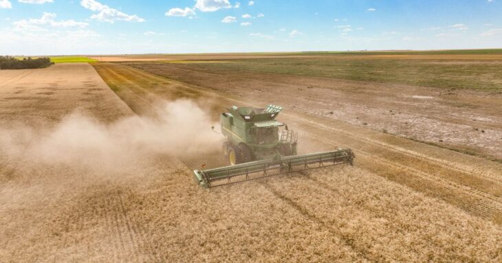Combine harvest